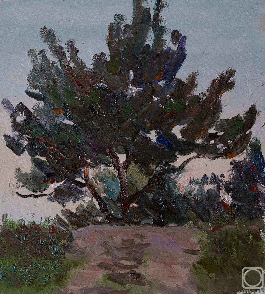 �������. ������� �����. ������� �����