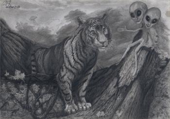 Kyschtym young tiger (Graphite). Dementiev Alexandr