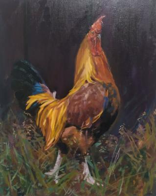 ������� ������