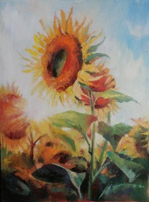 Sunflower. Noskova Lyudmila