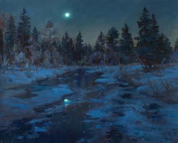 The quiet glow of a winter night. Syuhina Anastasiya