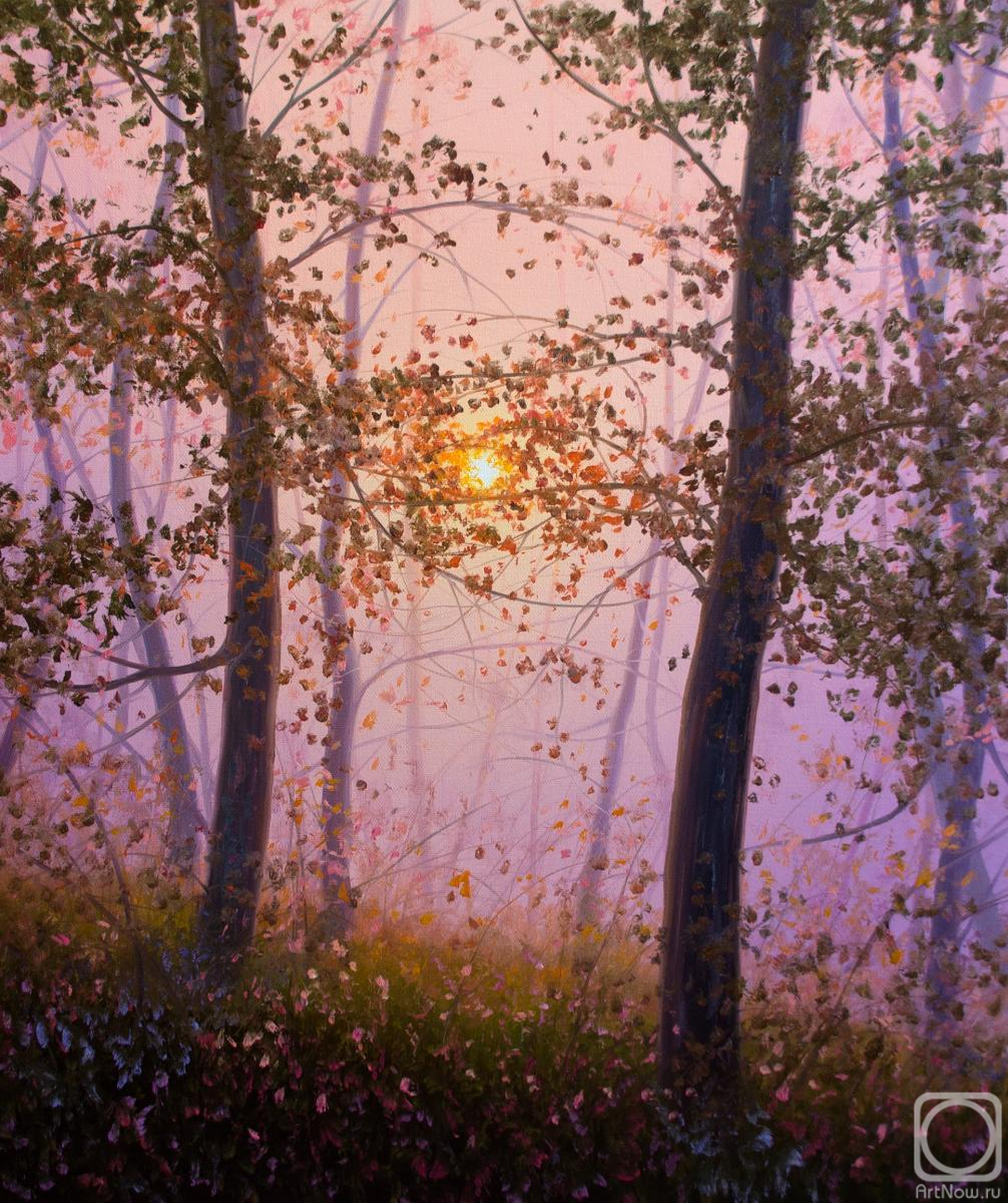 ������� ������ �� ������. ��� ��������. �������