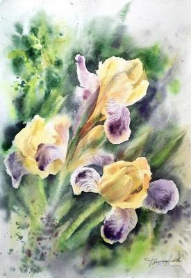 Fountain of irises. Mihaylova Tatyana