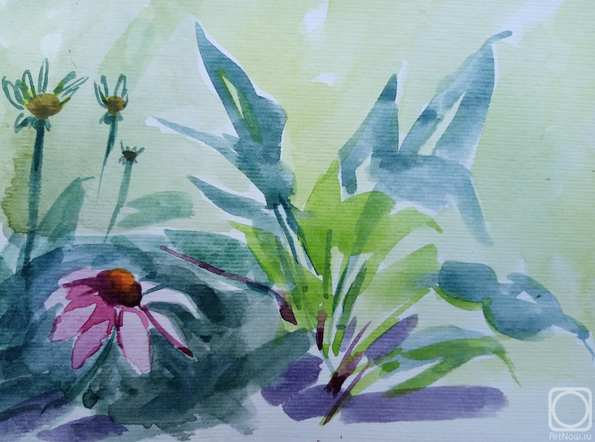 �������. ������� �������. ������� �������