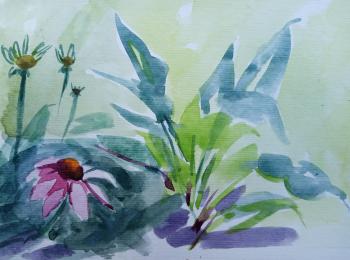 ������� �������� �������