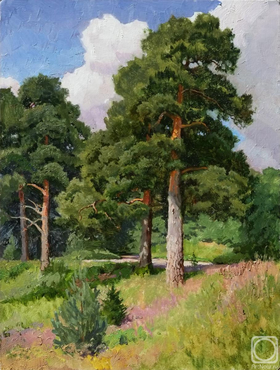 Panteleev Sergey. Pines