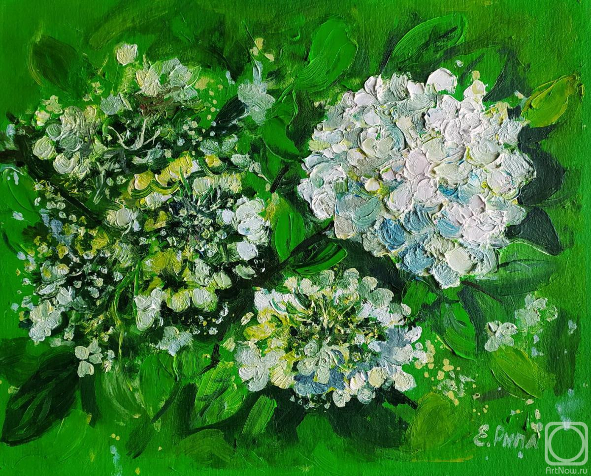 �������. ���� �����. ���������