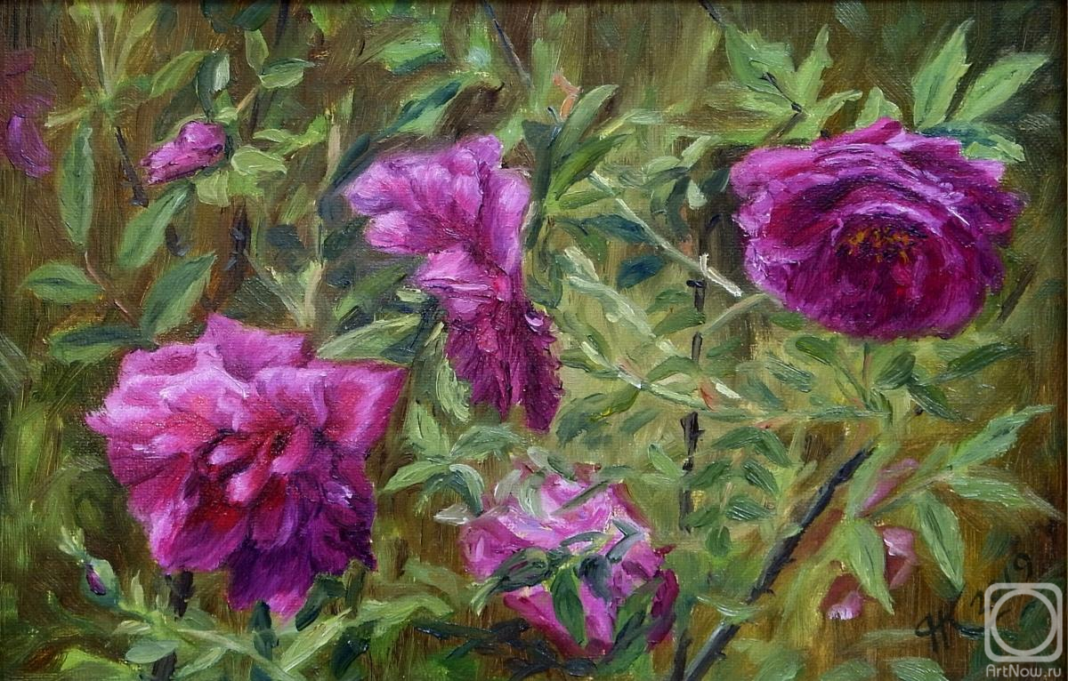 ������� ������ �� ������. ������ �������. �������