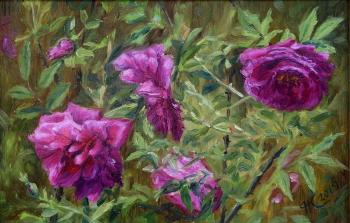 ������� ��������