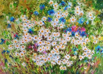 Daisies and cornflowers in the field