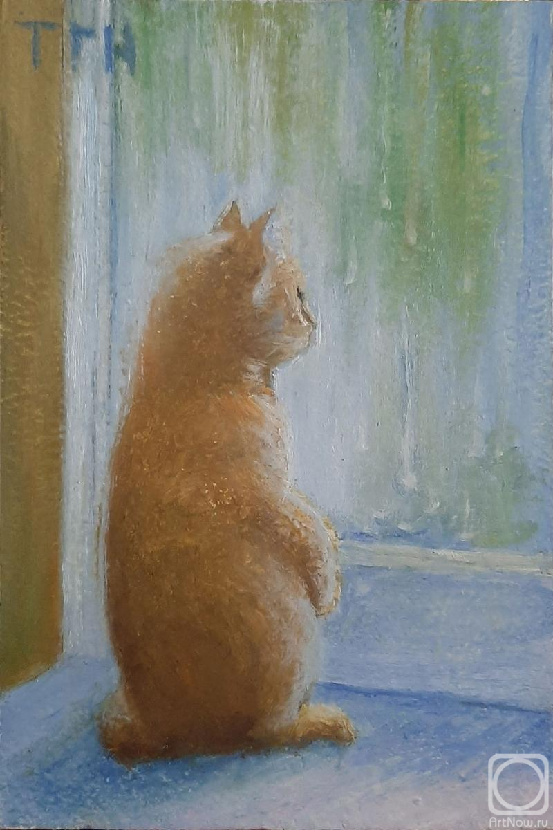 �������. ���������-������������ ������. ���������