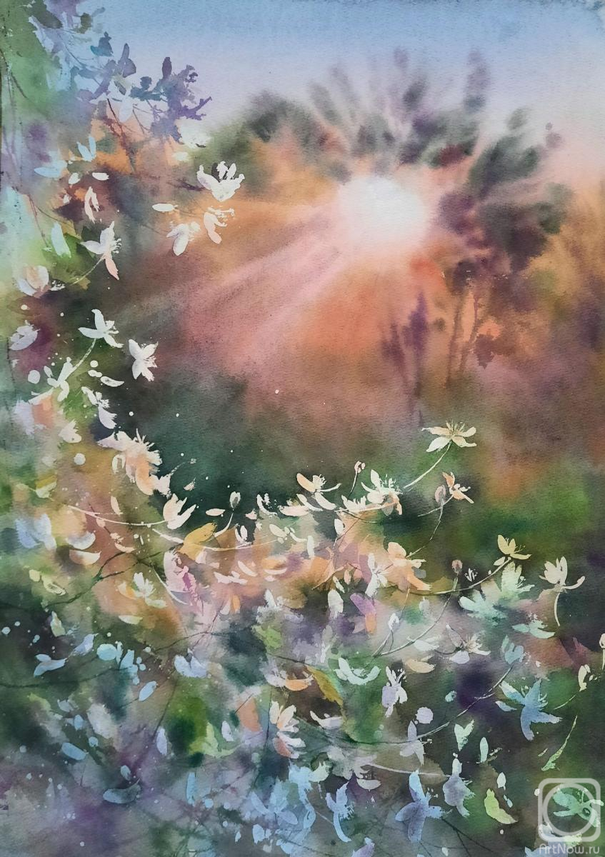 �������. ��������� �������. �������� � ����� ������