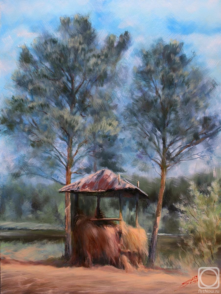 Starkov Valeriy. Untitled