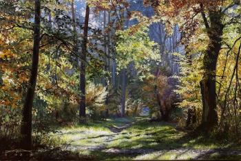 ����������-�����. ������� ���������