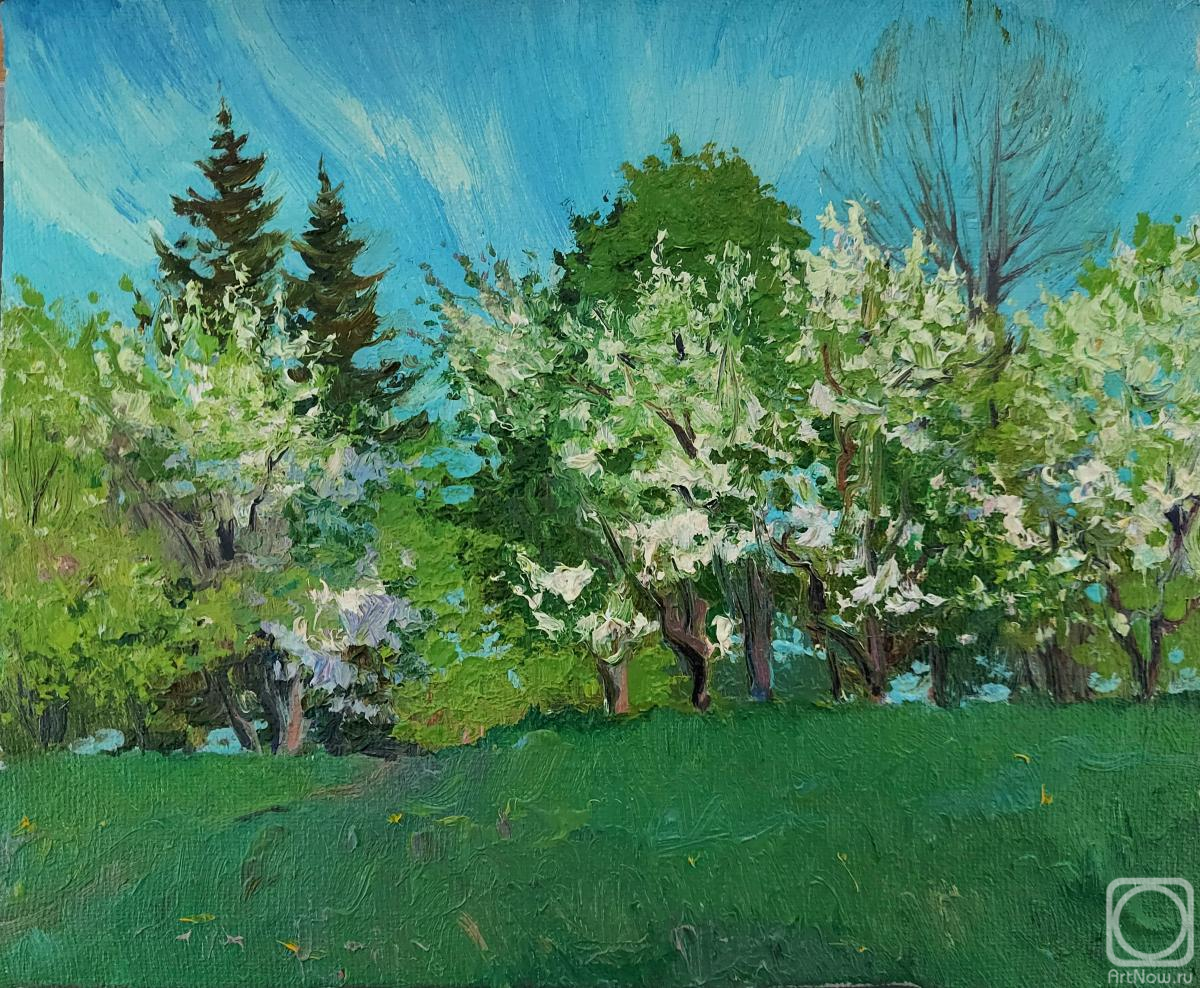 Melnikov Aleksandr. Spring sketch. Plum blossoms