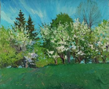 Spring sketch. Plum blossoms (Sketch In The Garden). Melnikov Aleksandr