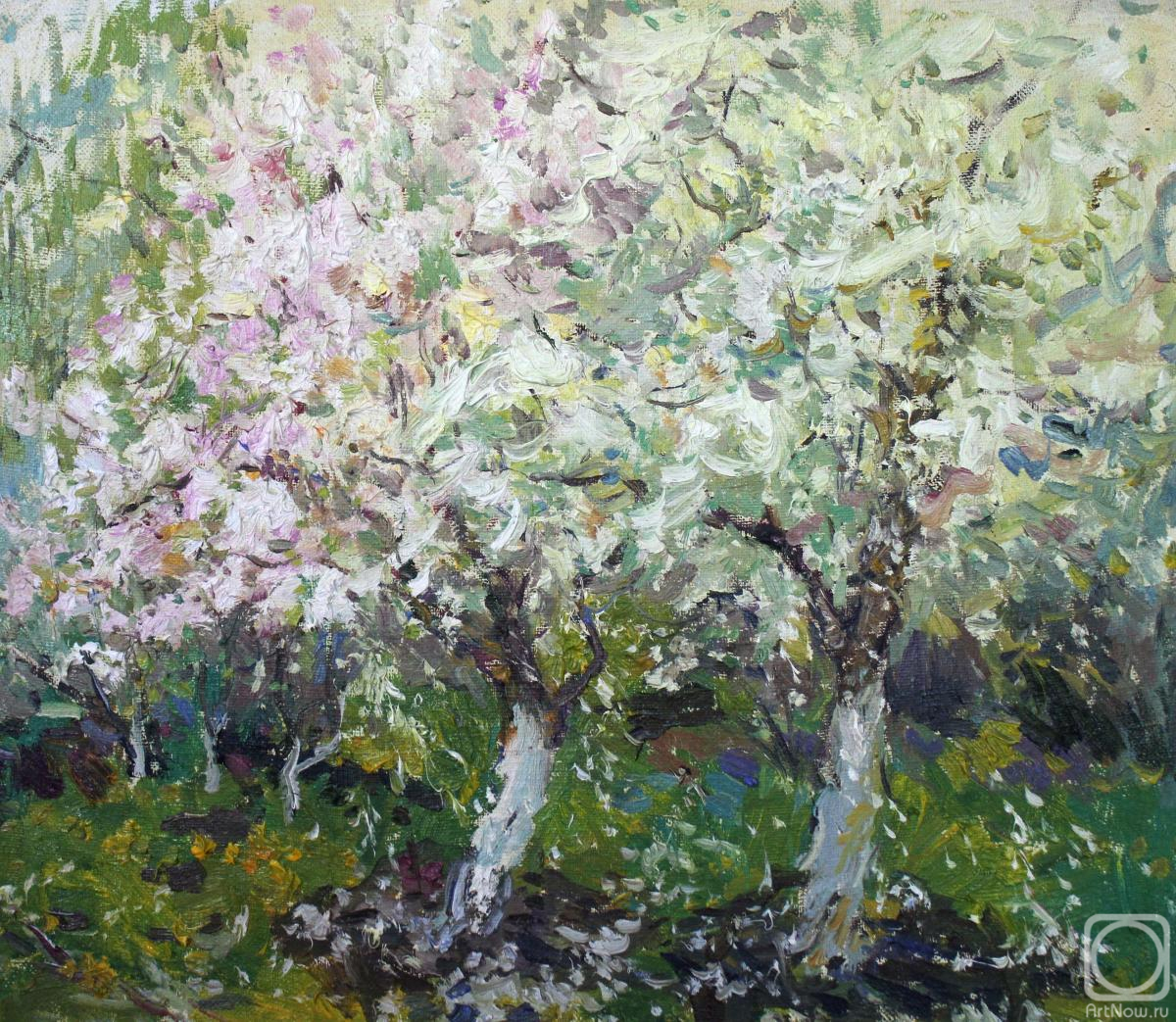 Kodentseva Aleksandra. Untitled