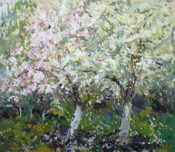 ����� �������. ��������� ����������