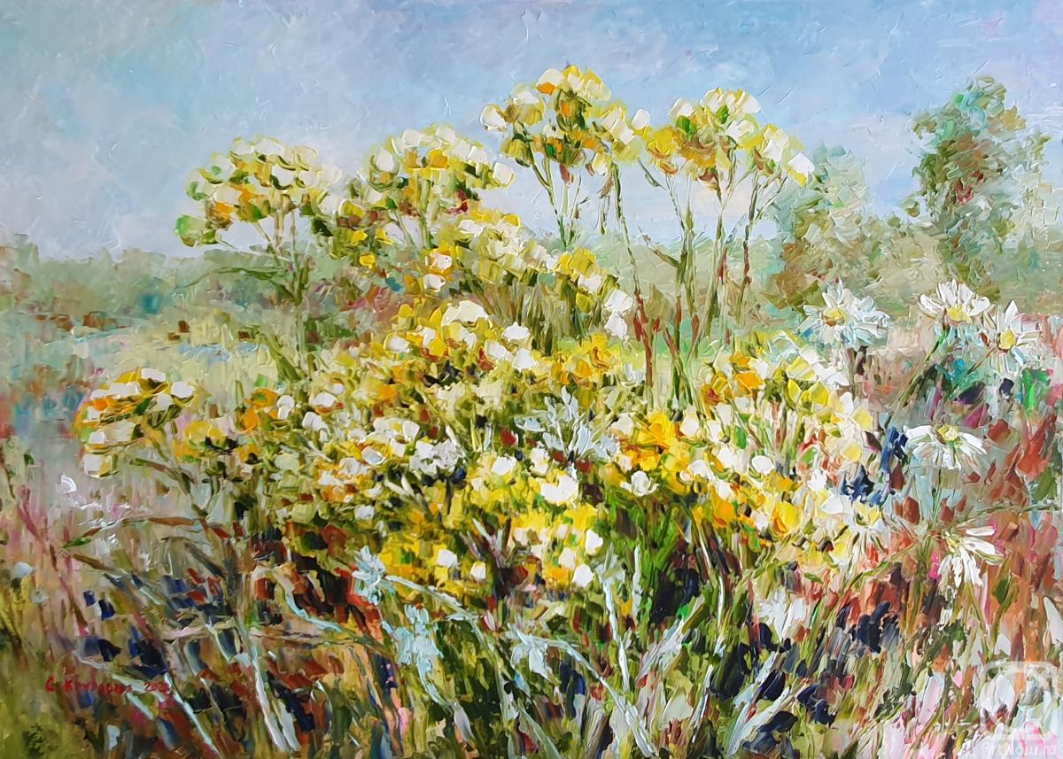 Kruglova Svetlana. Tansy and daisies in the meadow