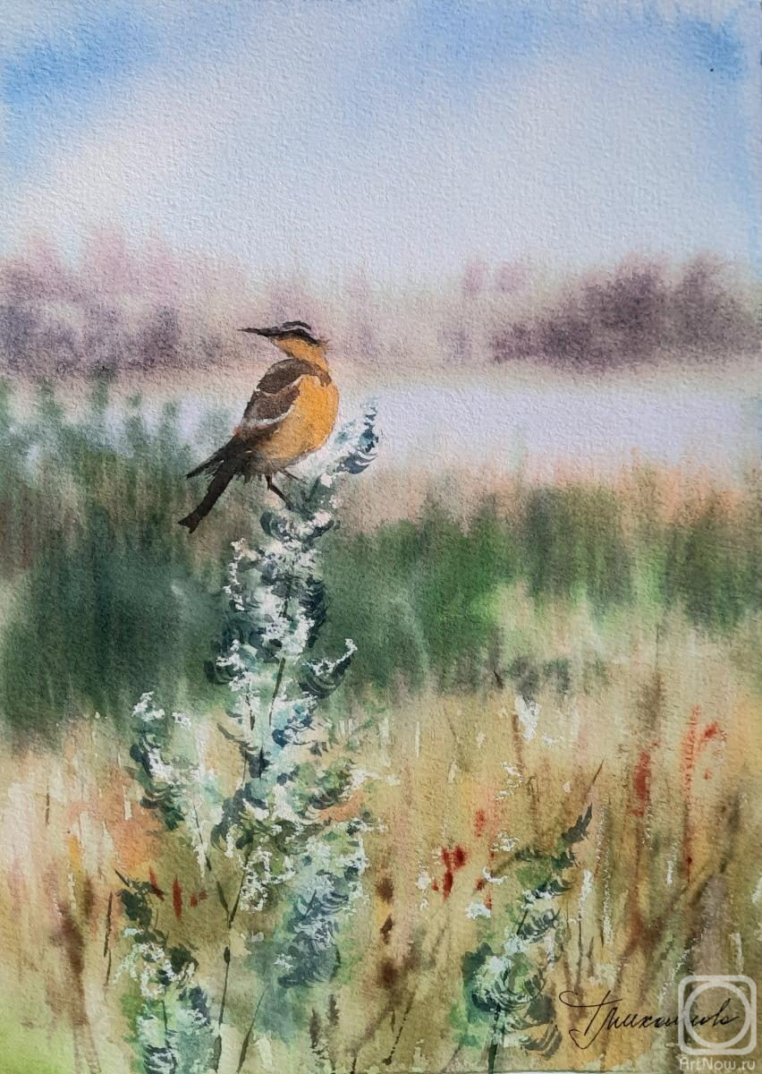 �������. ��������� �������. ������. ����� ��������� ����