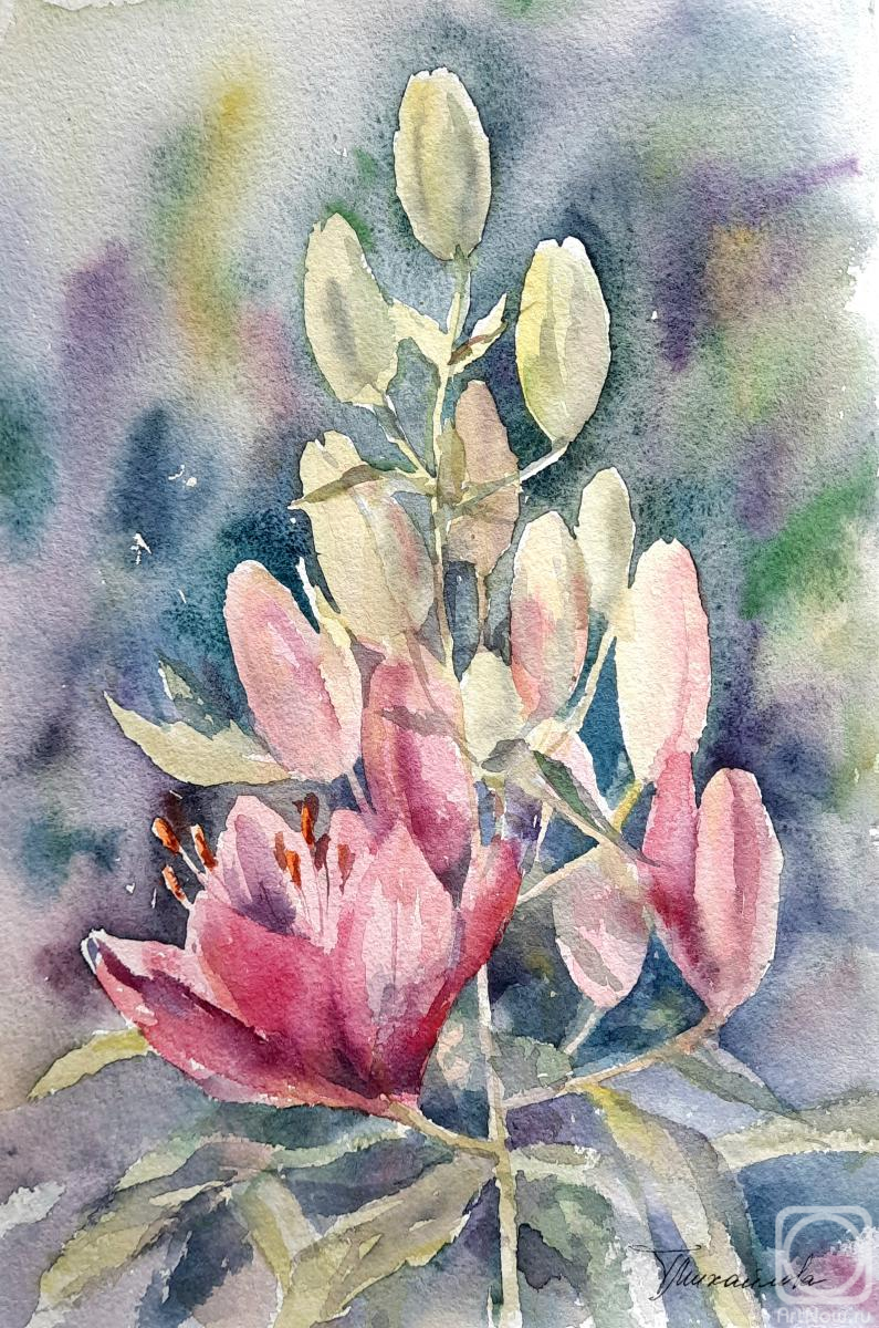 �������. ��������� �������. �����