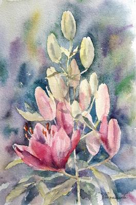 Untitled. Mihaylova Tatyana