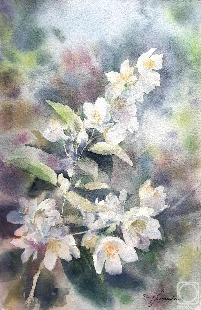 �������. ��������� �������. ��������