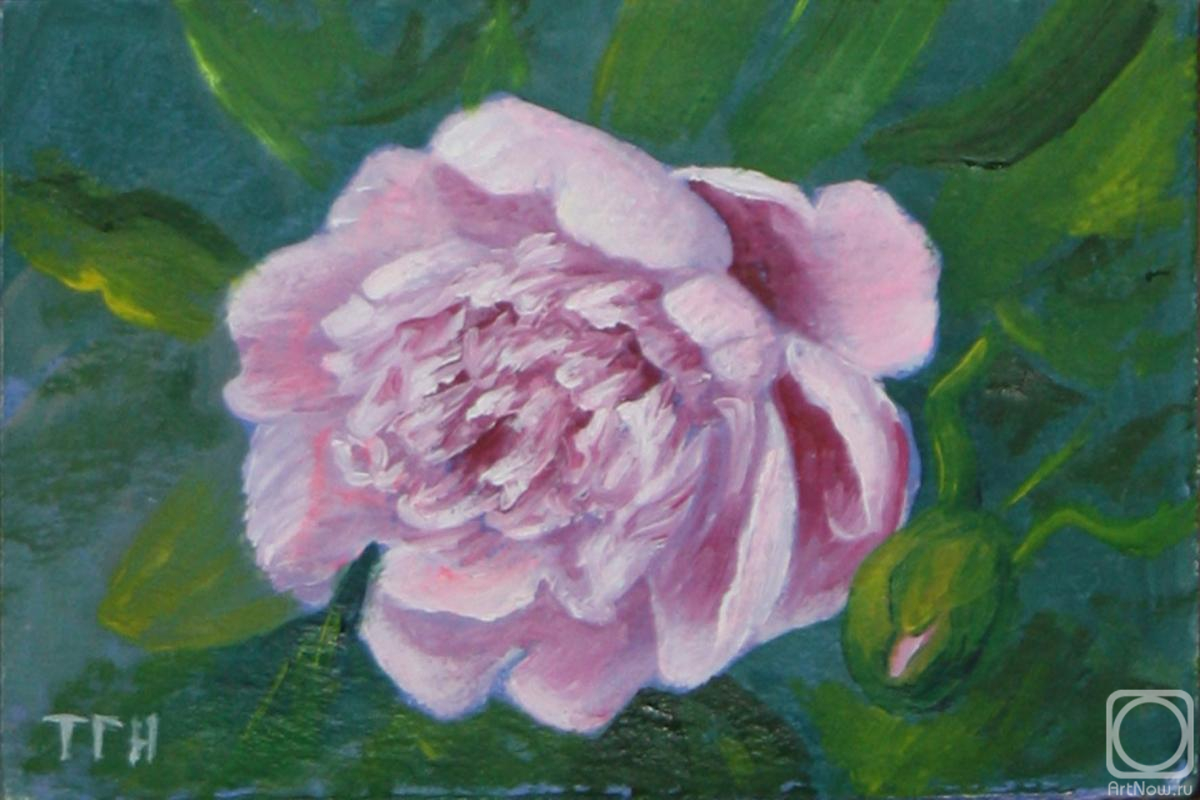 �������. ���������-������������ ������. ���� 1