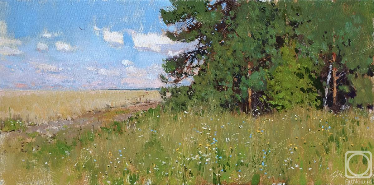 Zhilov Andrey. At the edge of the field