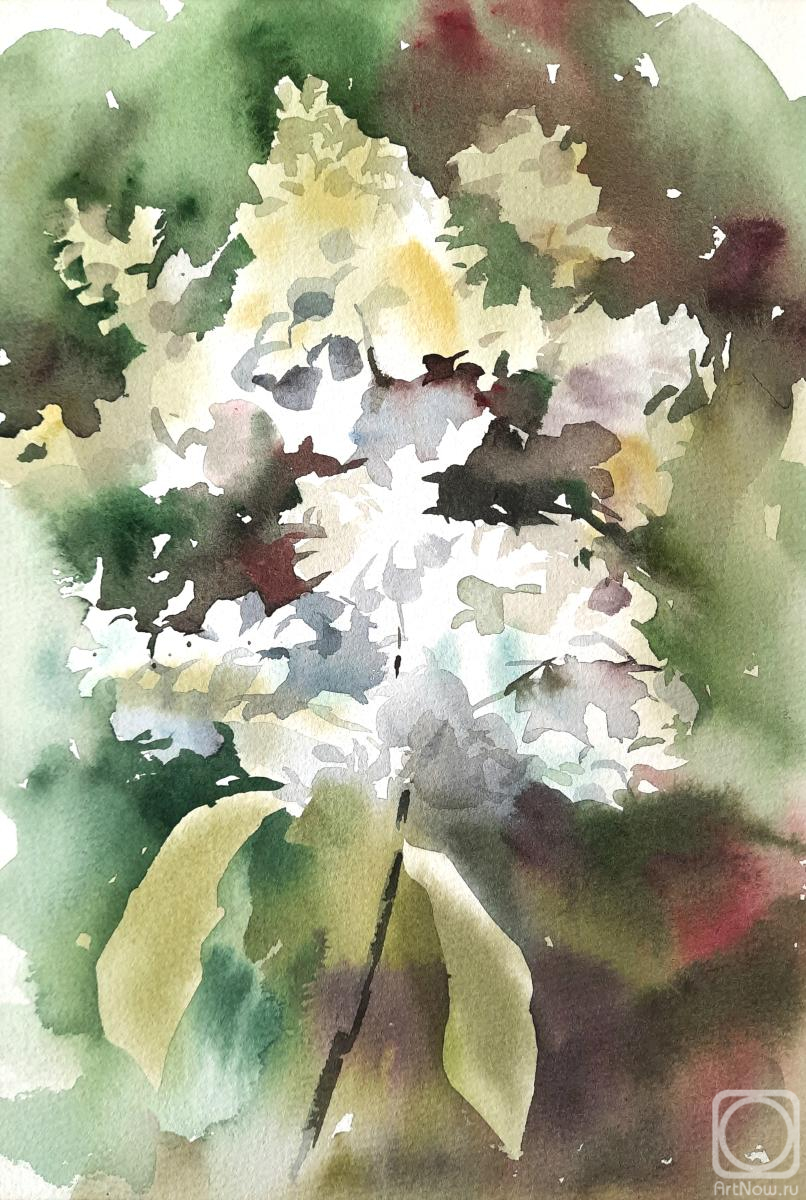 �������. ��������� �������. ���������