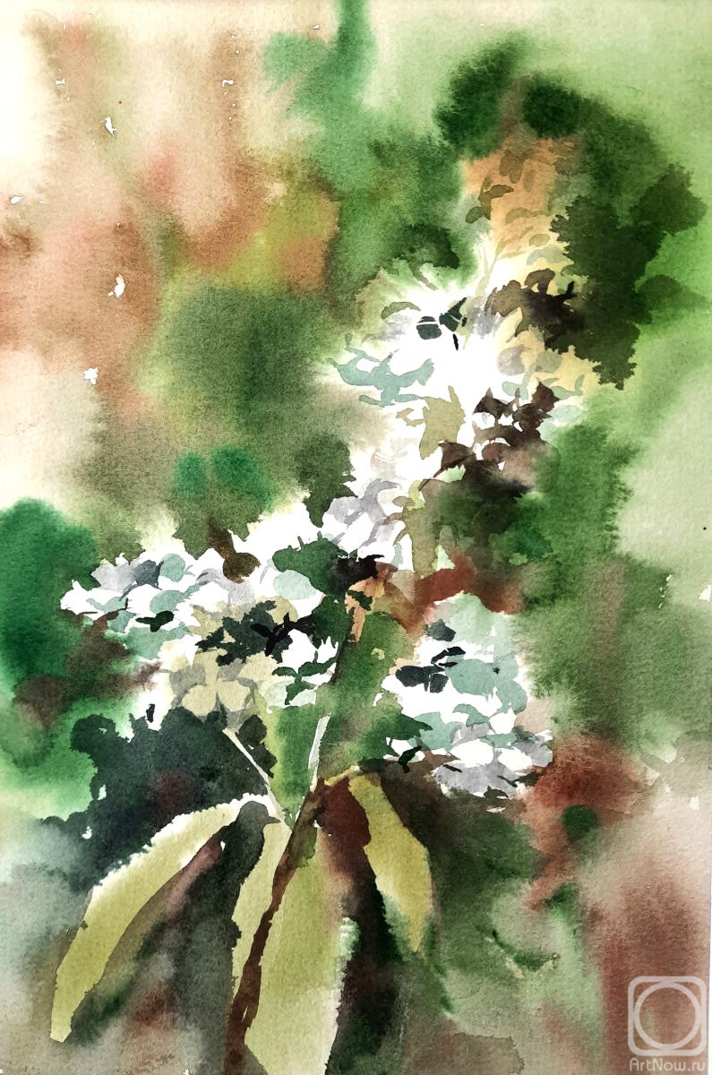 �������. ��������� �������. ���������