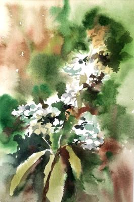 ���������. ��������� �������