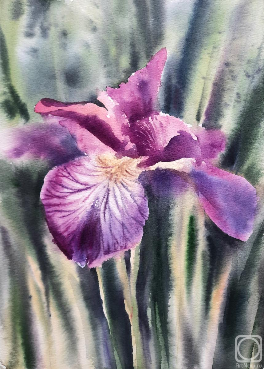 �������. ��������� �������. ���������� ����