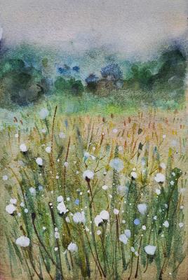 Snow-white blossoms of wildflowers. Filip Denis