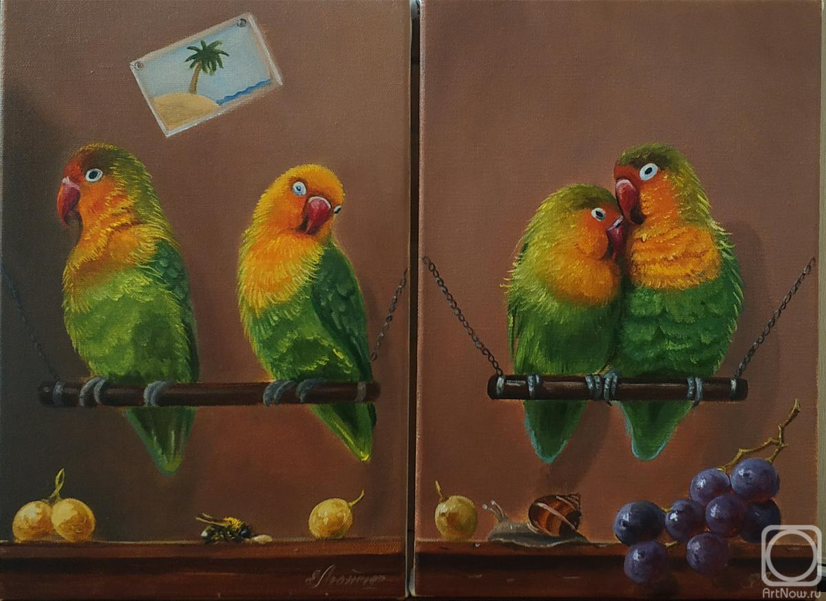 ������� ������ �� ������. ������ �����. ���� �������������