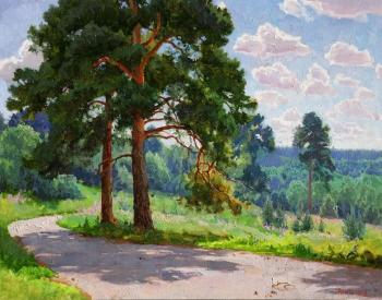 Pines in Polivanovo. Panteleev Sergey
