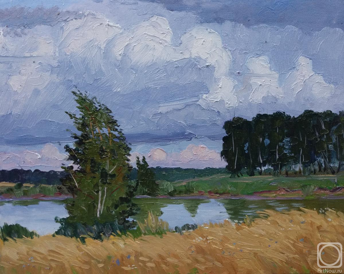 Melnikov Aleksandr. The rain has passed