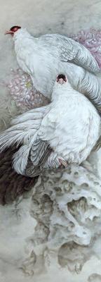 White pheasants. Gunyakov Pavel