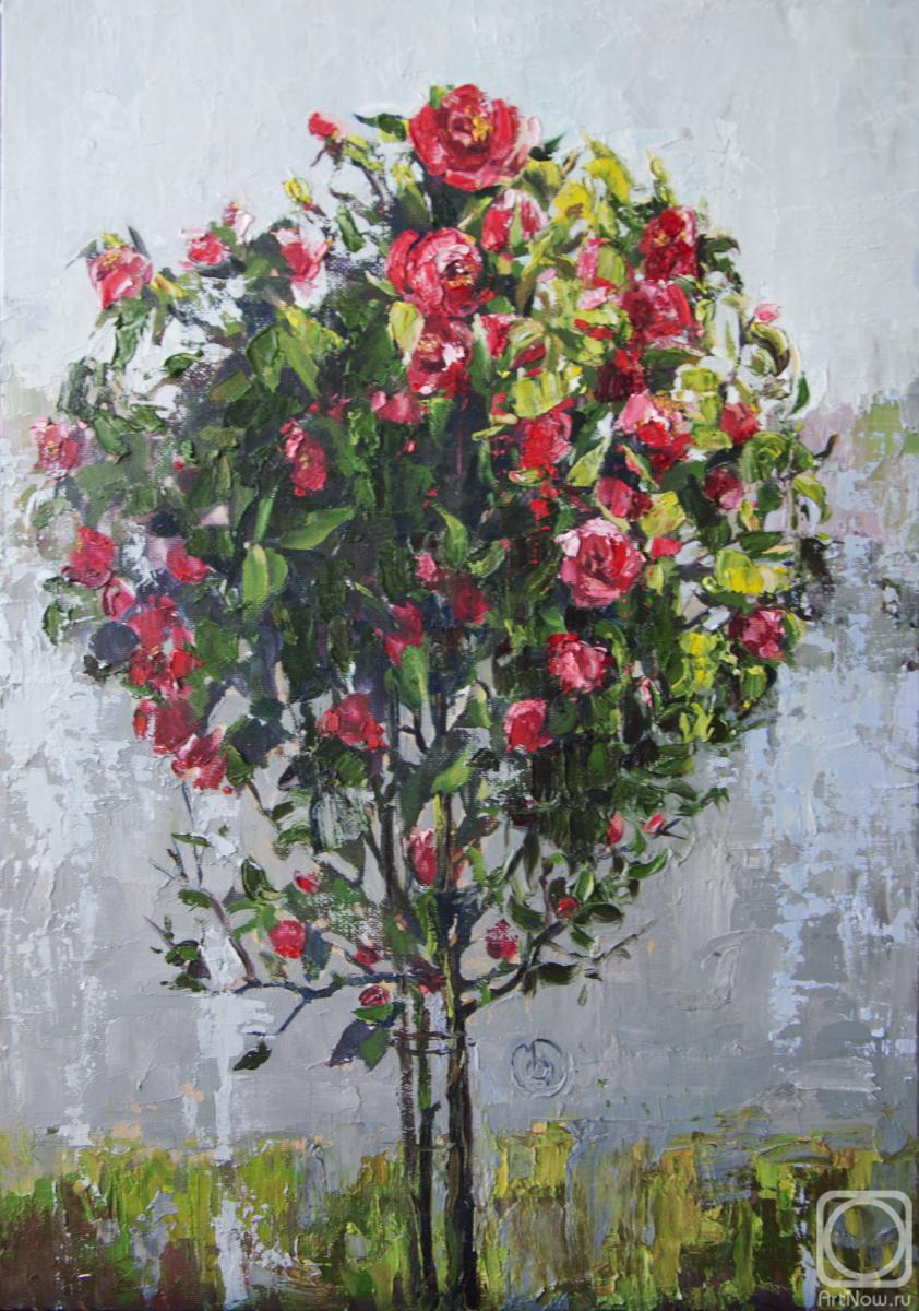 ������� ������ �� ������. �������� ����. ��������� �������