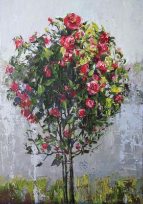 ��������� �������. �������� ����