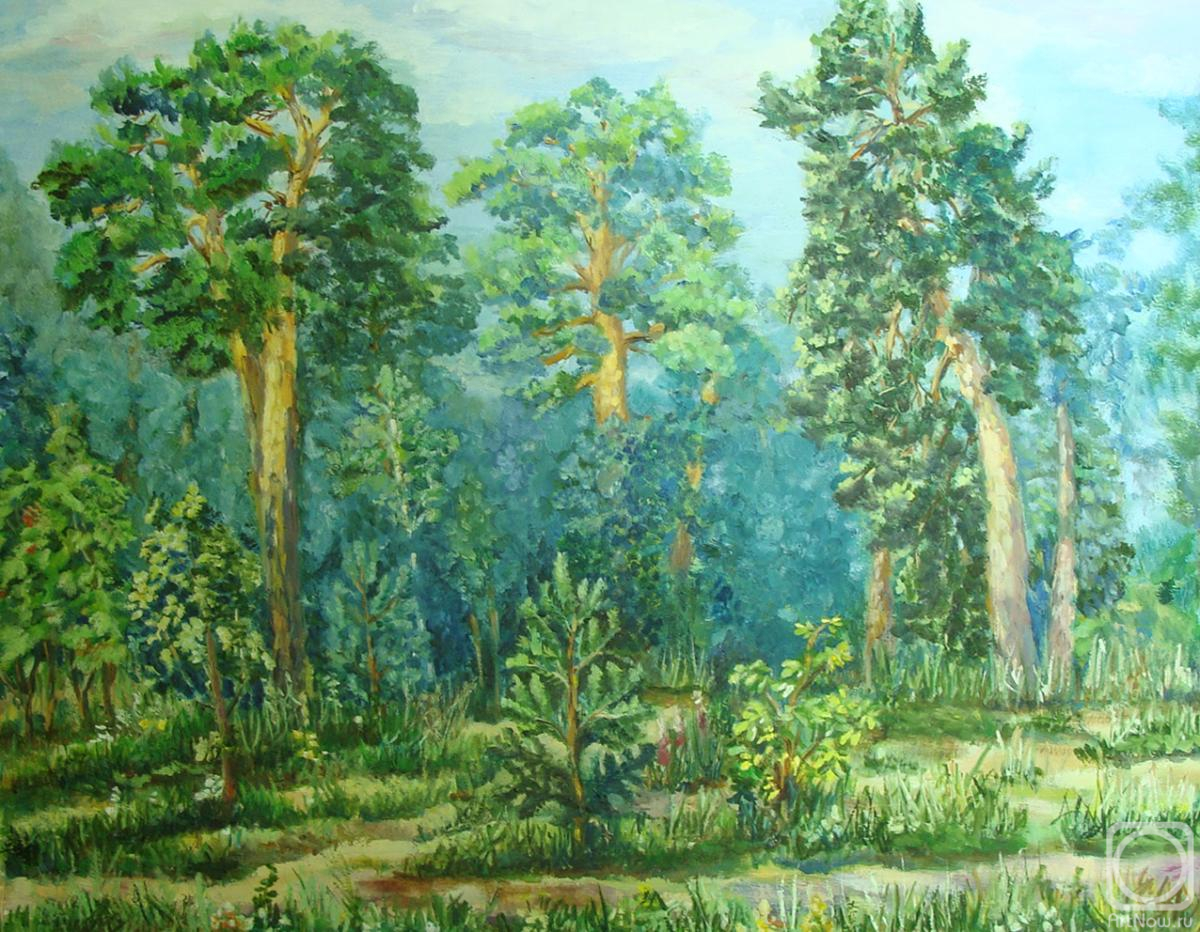 Anisova Irada. Pine forest