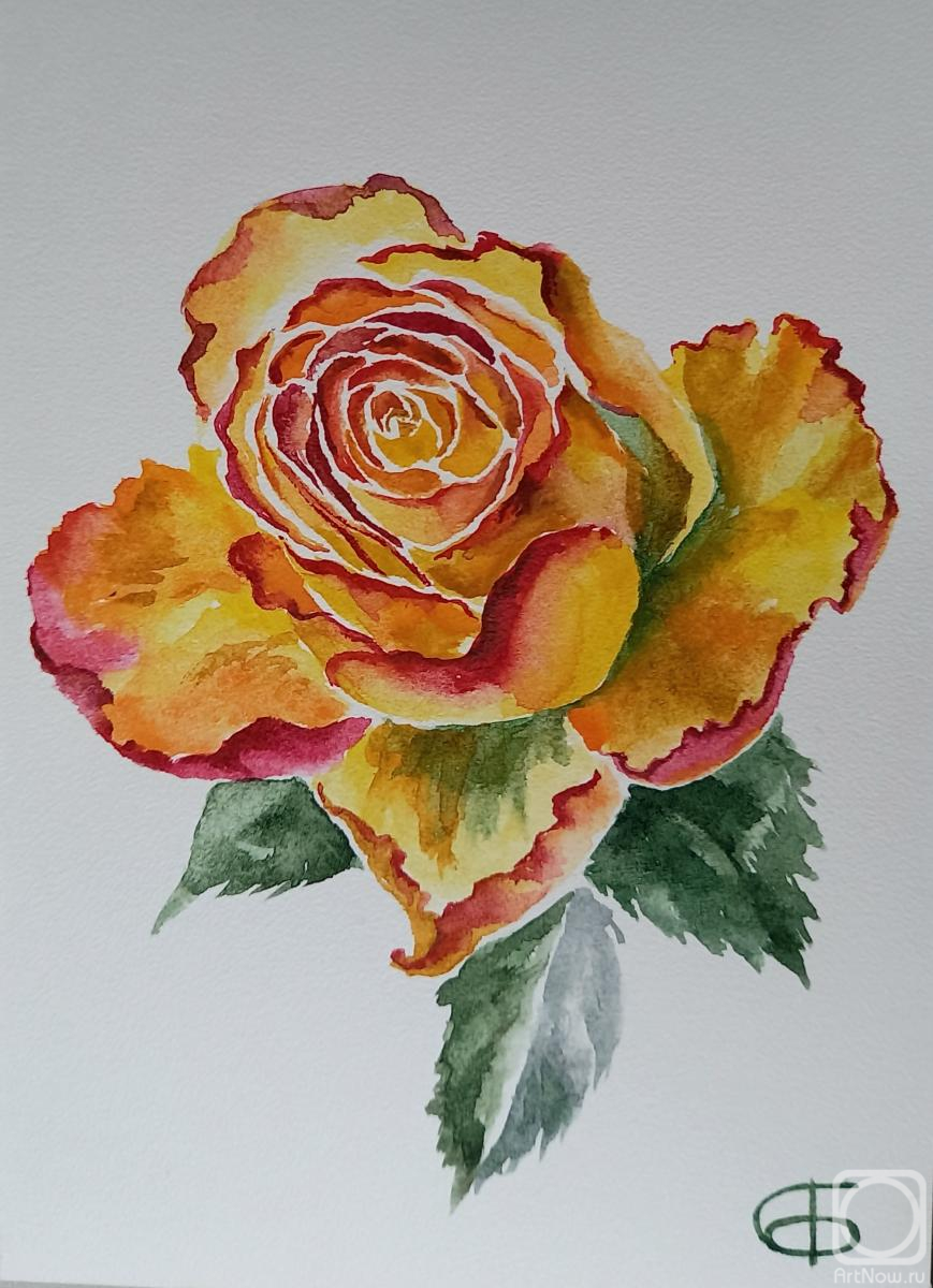 �������. ������� ��������. ����