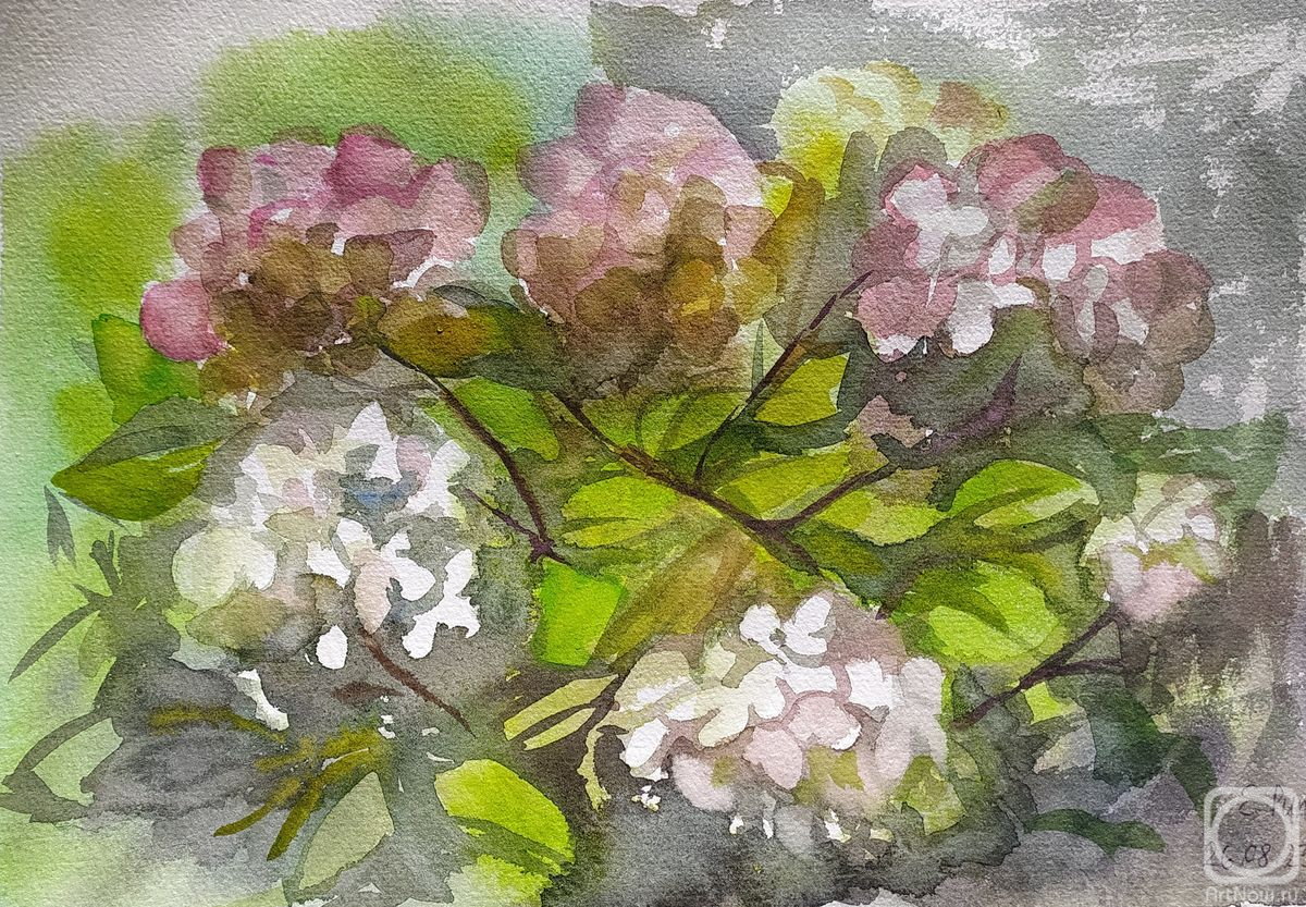 �������. ���� �����. ���������