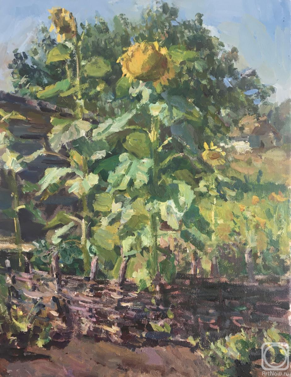 ������� ������ �� ������. ����� �������. ����������