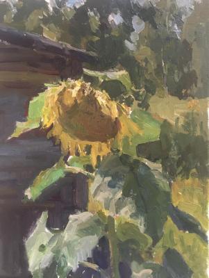 Sunflower3000.2023.oil canvas. Titov Dmitriy
