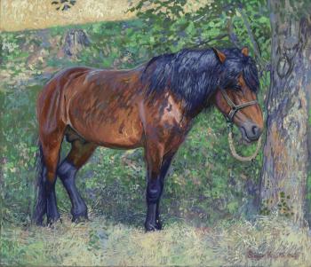 Horse in the shade of trees (Gray Horse). Kozhin Simon