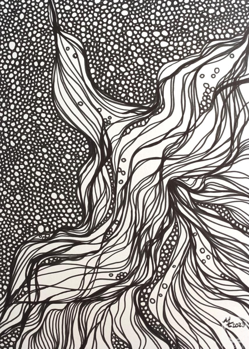 �������. ��������� �������. �����������