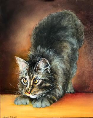 Cat (). Yahnev Sergey