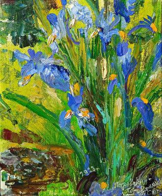 Irises (  ). Petrovskaya-Petovraji Olga