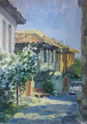 Bulgarian street in old town .canvas.oil. Titov Dmitriy